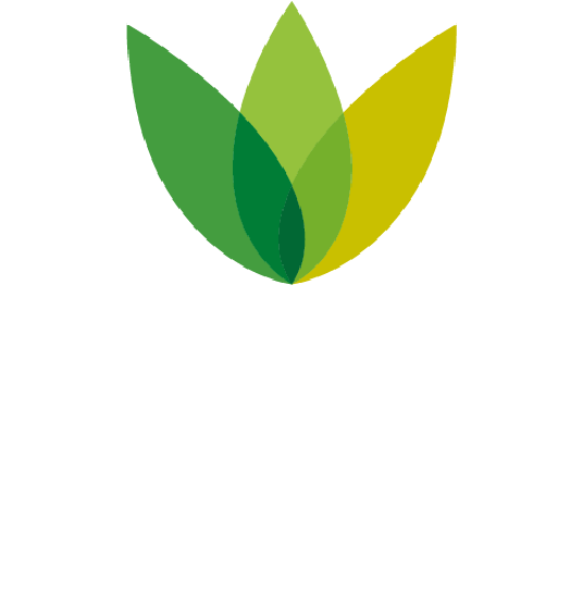 Trinity Logo